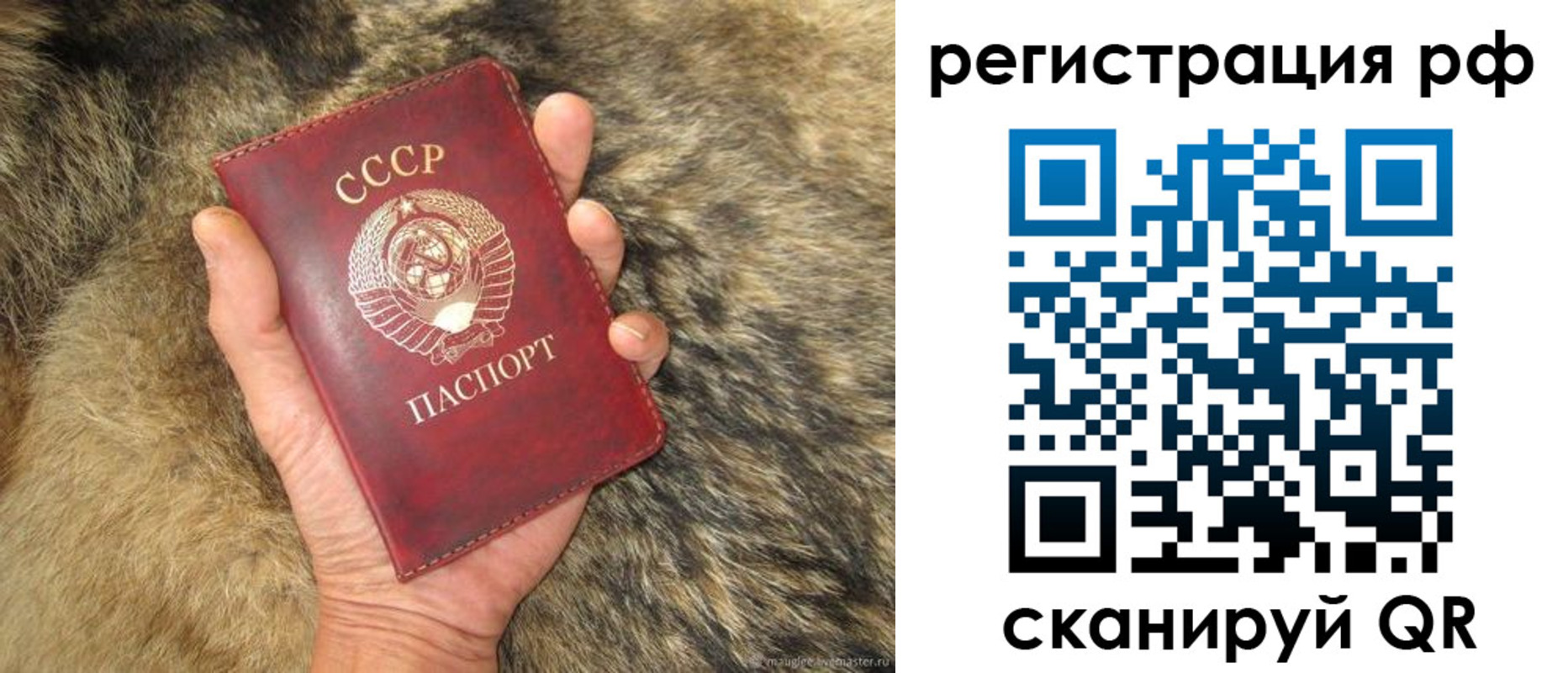прописка для военкомата в Камешково
